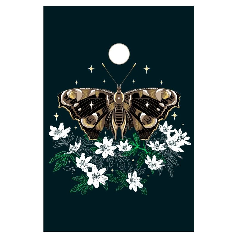 Moth moth with wood anemone