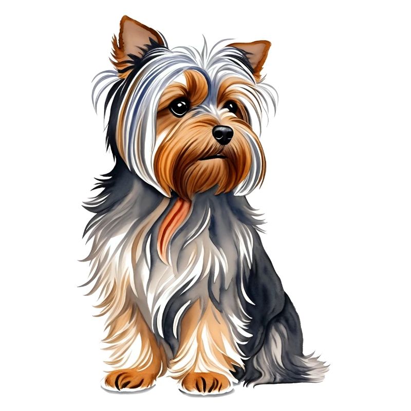 YorkshireTerrier