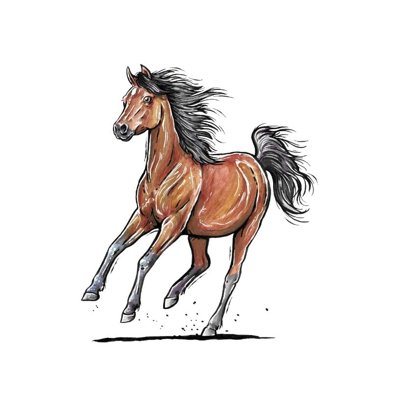 Braunes Pferd Galopp