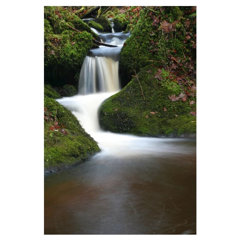 Mooswald Waterfall Motif