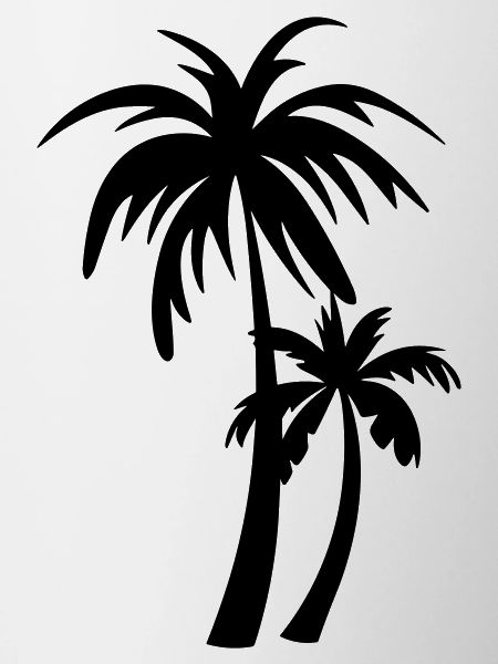 palm tree