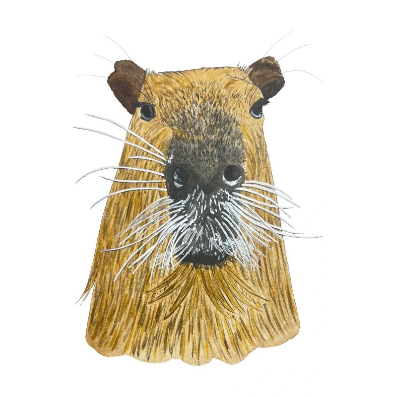 mignon capybara capybara capibara cochon d’Inde