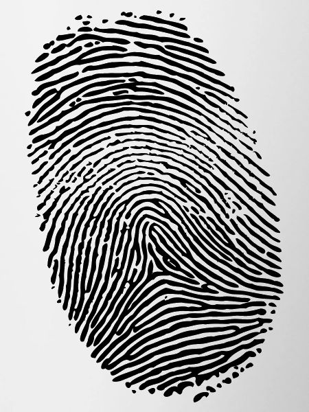 Empreinte digitale