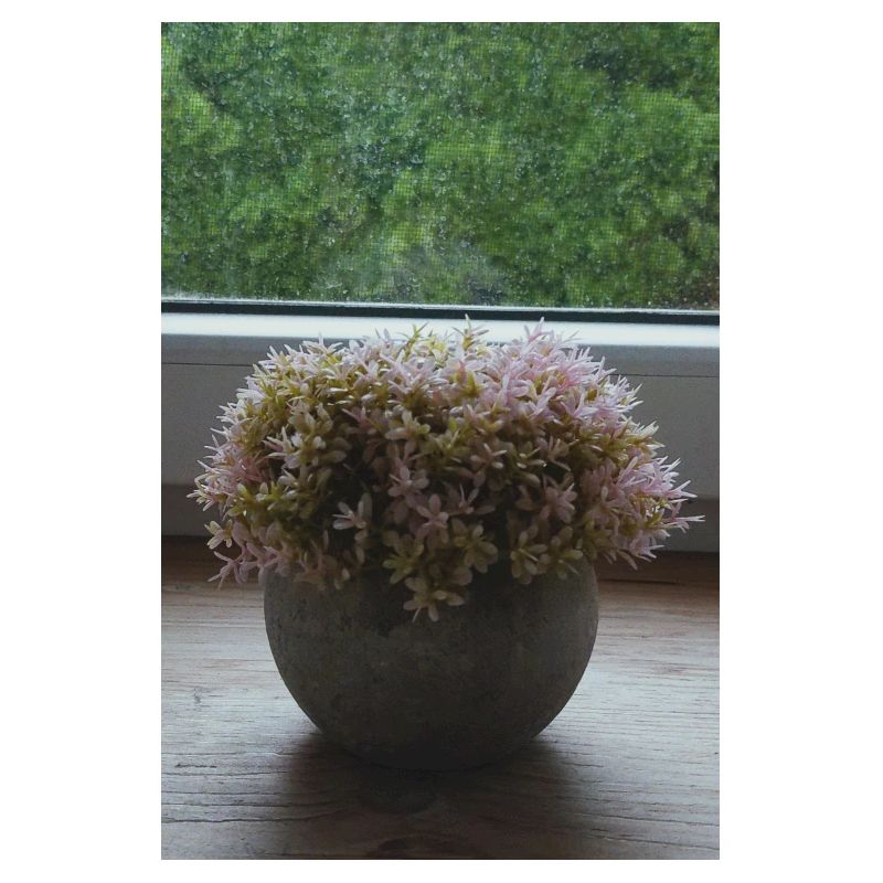 Floraison 2.0