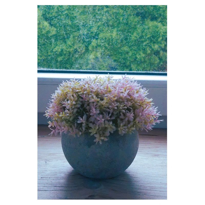 Floraison 1.0