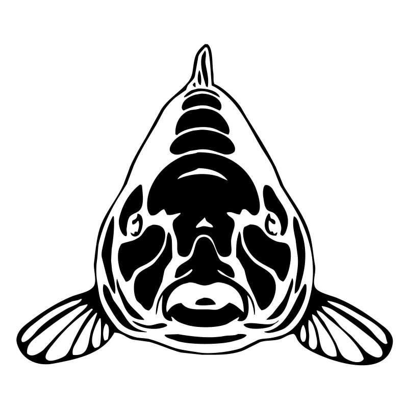 Karpfen frontal