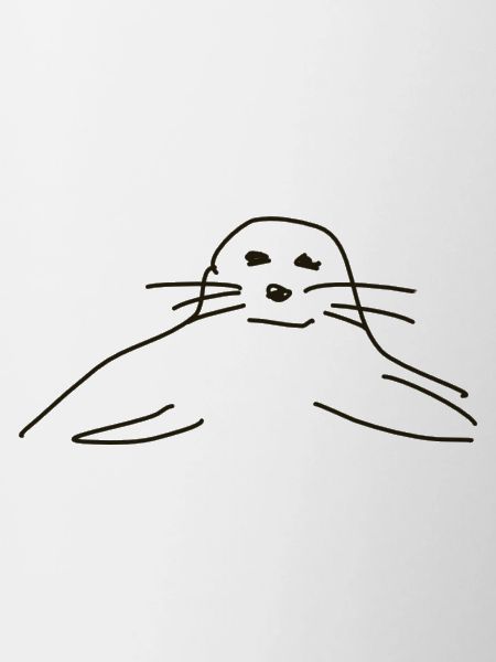 phoques phoques phoques animaux