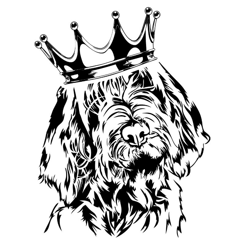 SPINONE ITALIANO Crown Dog Chiens Wilsigns
