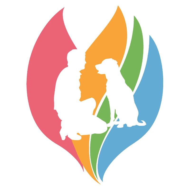 Dog Training Dog Training Dog Educator