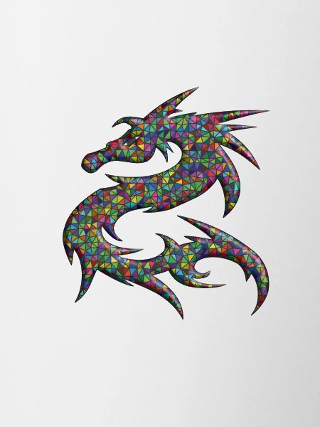 Dragon dragon