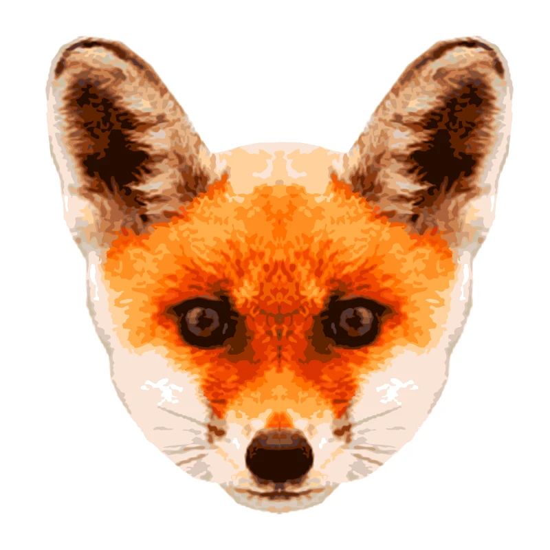 Fox baby * Foxy baby * Hypnosis fox Hypnosis fox