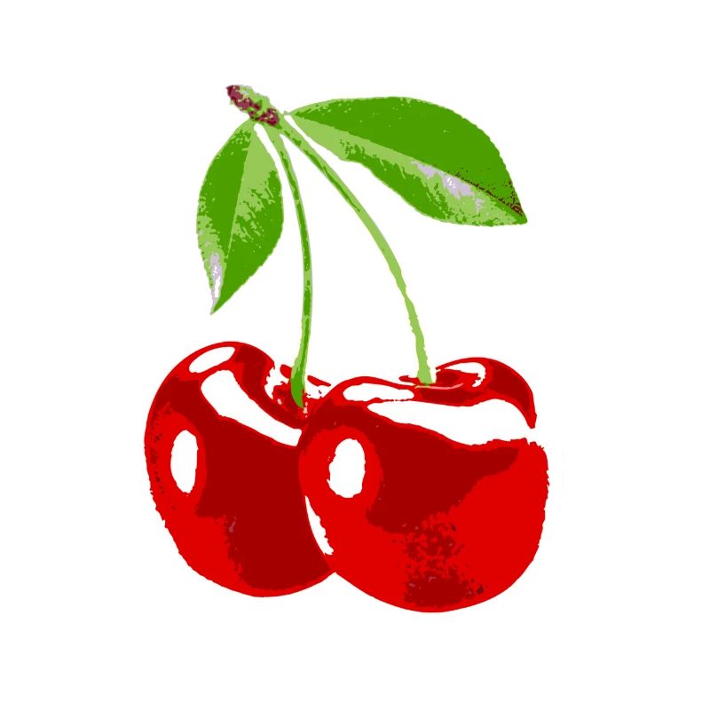 Cherry cherry fruit harvest