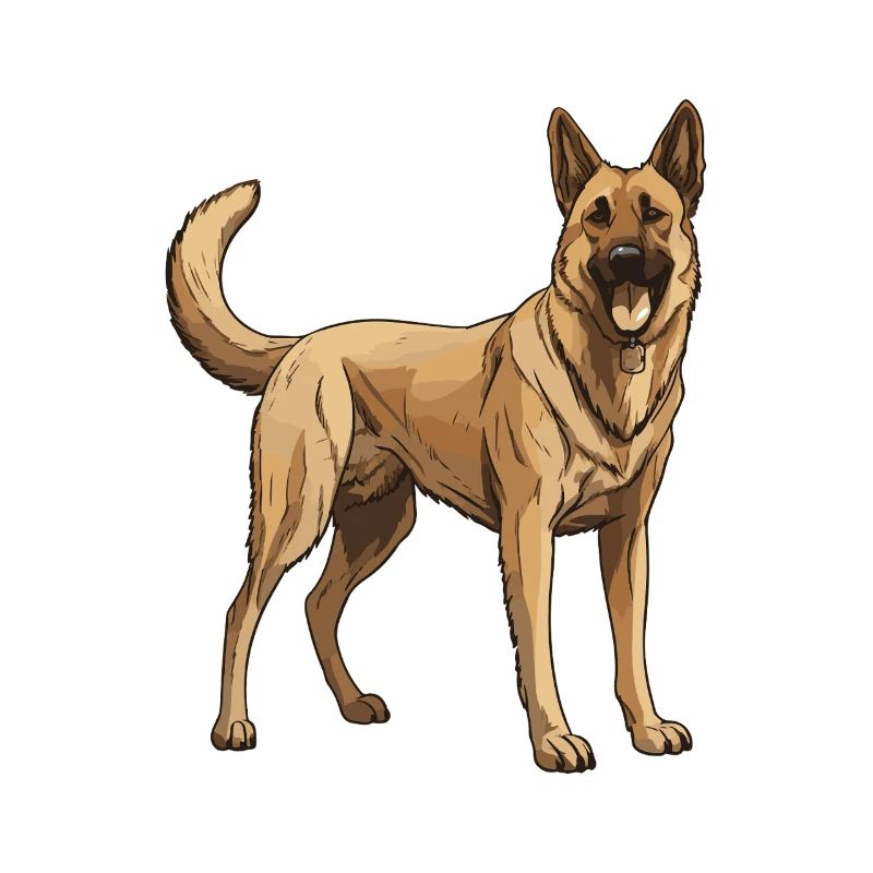 German Shepherd Dog
