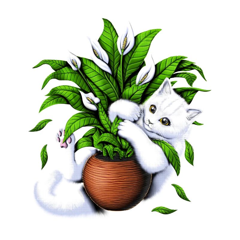Chat et plantes d’intérieur