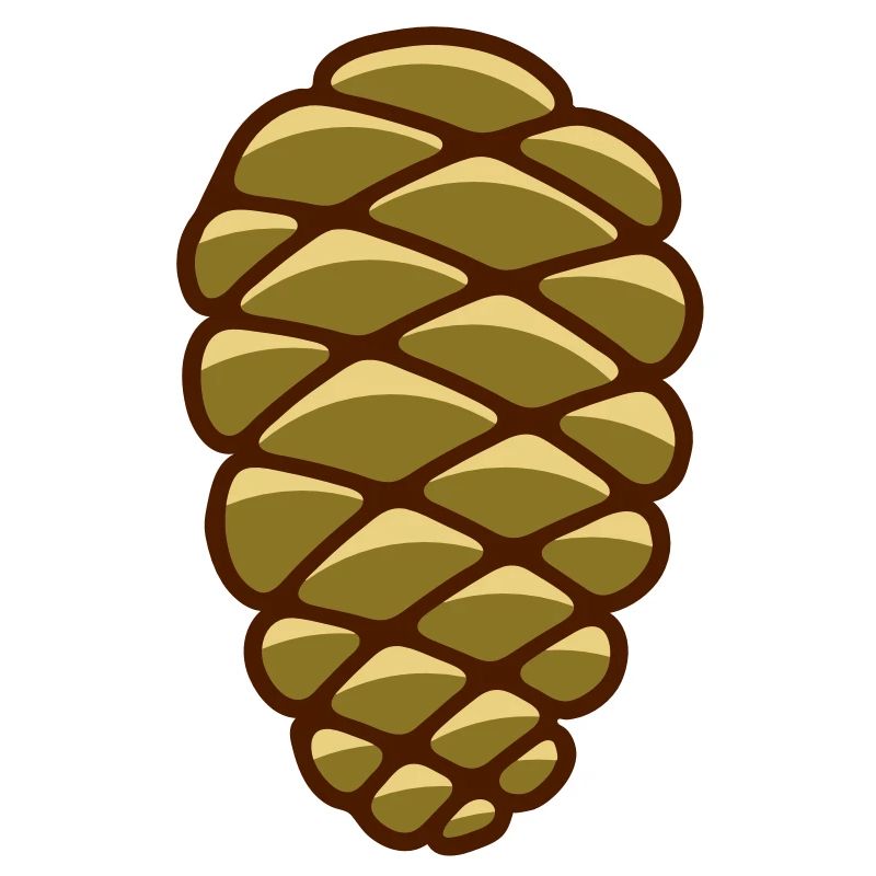 Un cône de pin