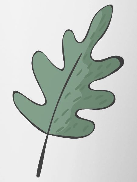 Forêt