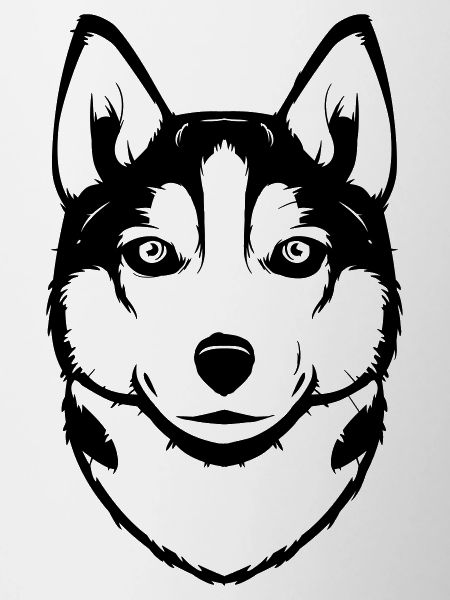 Siberian Husky