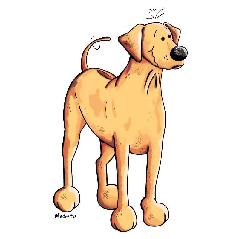 Souriant Rhodesian Ridgeback
