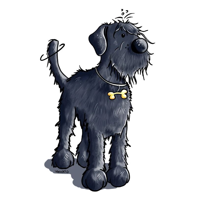 Schnauzer