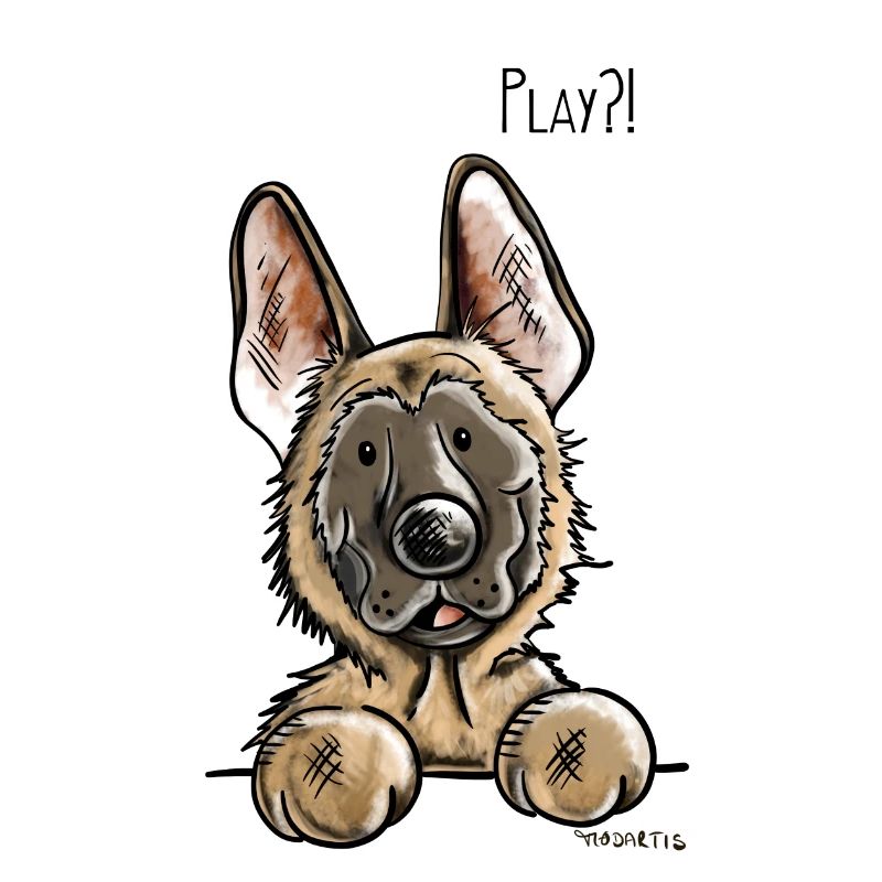 Malinois Play - Chien - Chiens