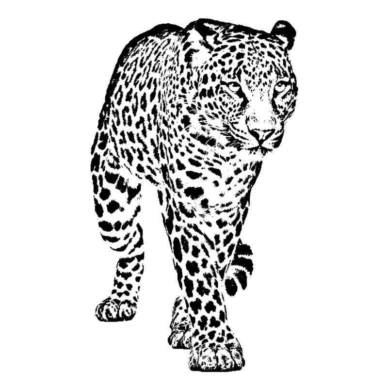 Animal léopard