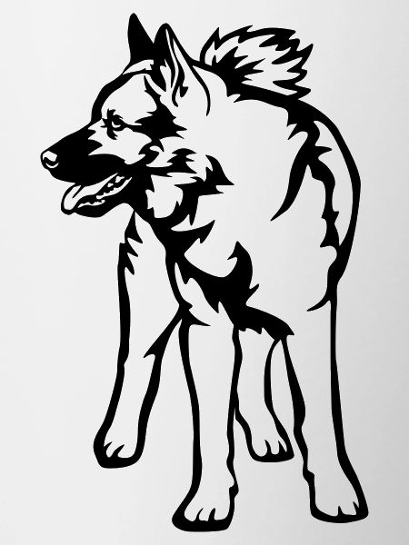 Norwegian Moose Dog
