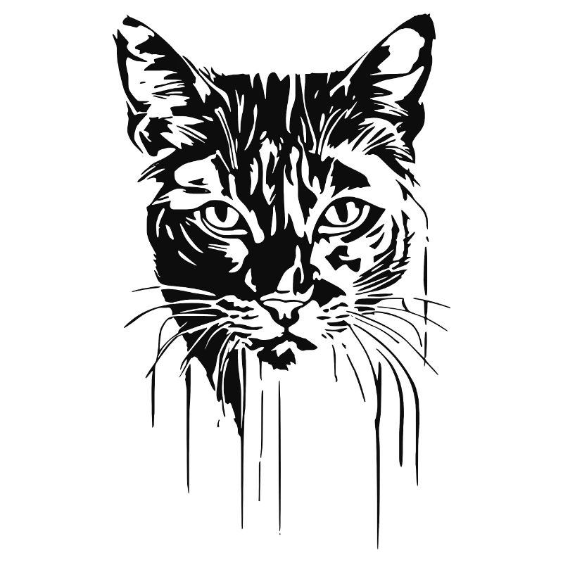 Chat 7