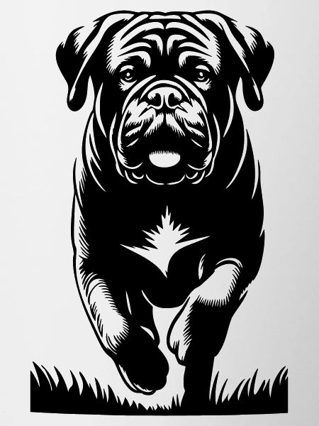 Dogue de Bordeaux