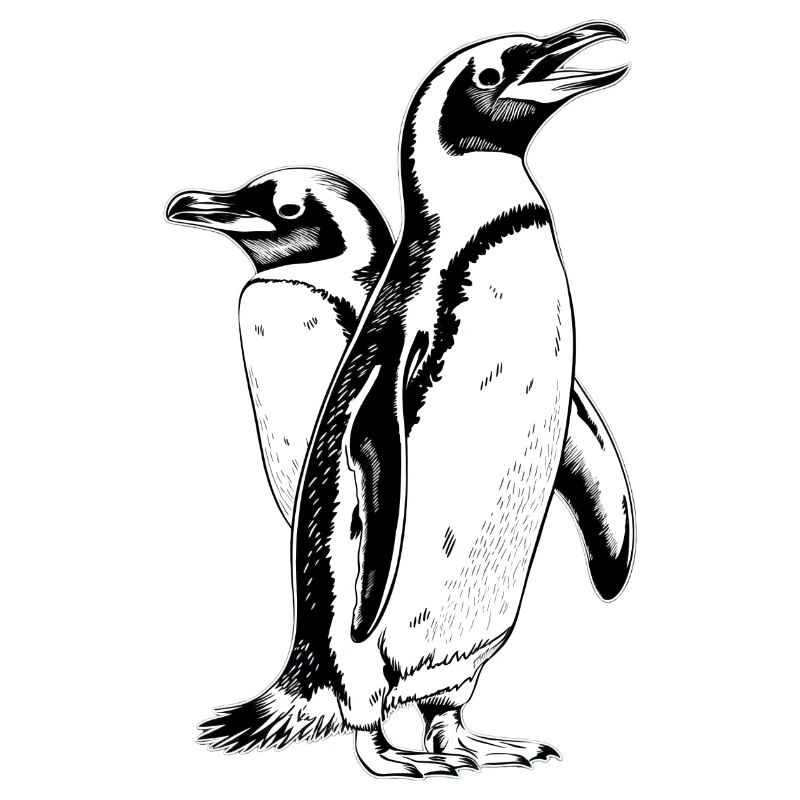 Pingouin