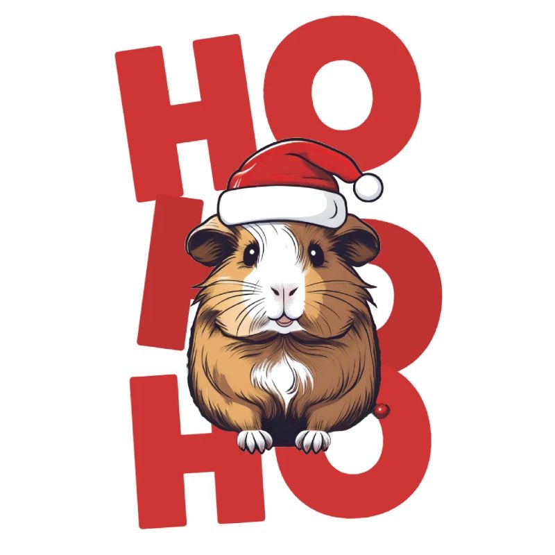 Père Noël Père Noël Cochon d’Inde