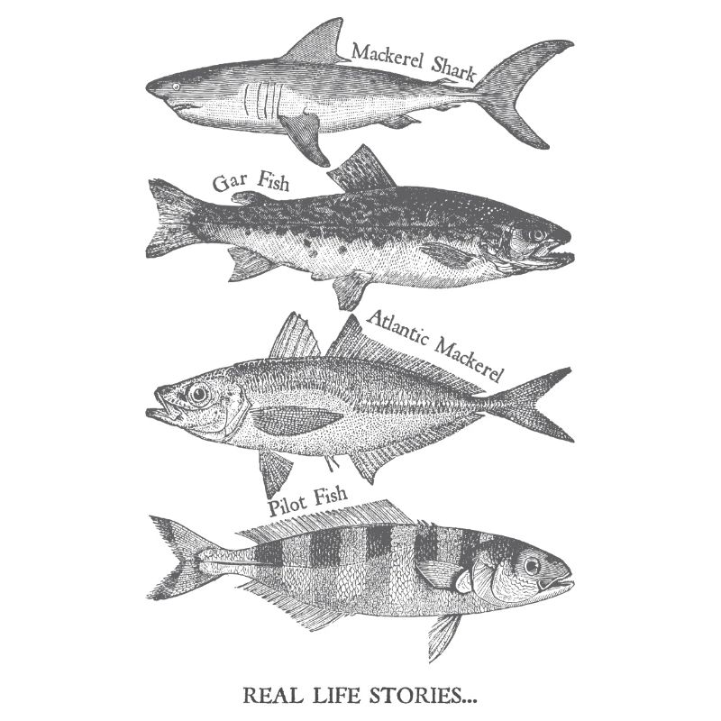 Echte Fischsilhouetten