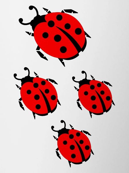 ladybug marienkaefer
