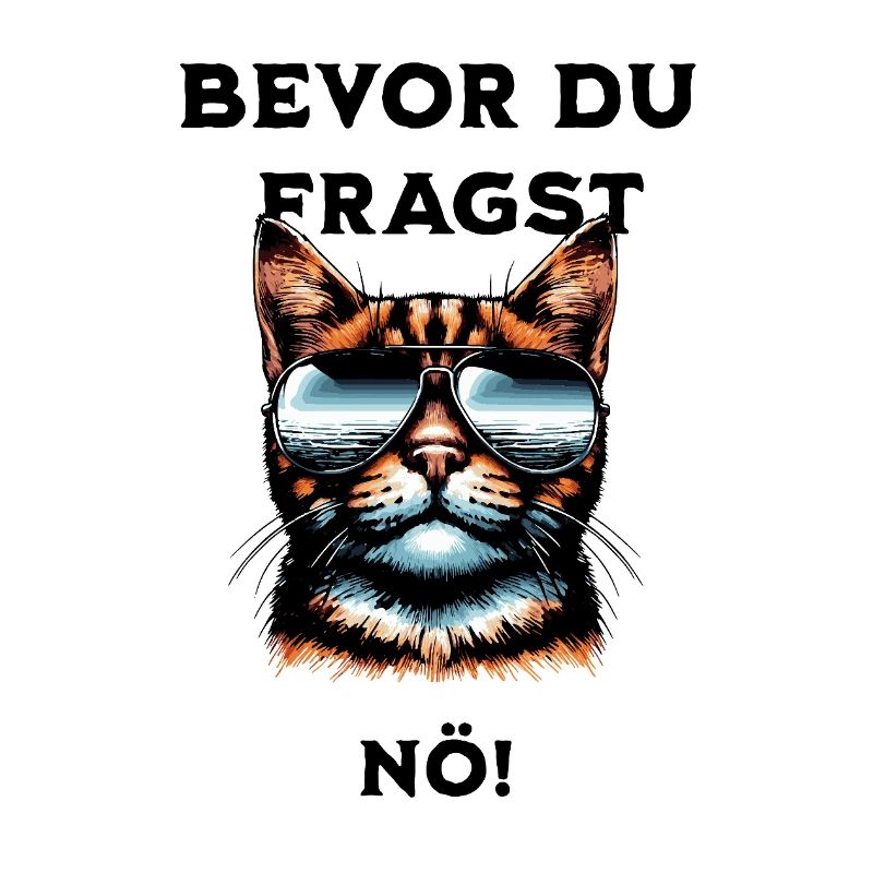 Avant que vous ne demandiez : Non !