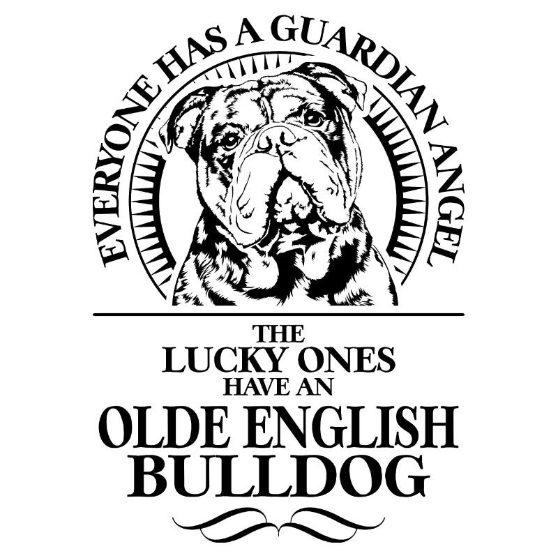OLDE BOULEDOGUE ANGLAIS Ange Gardien Wilsigns