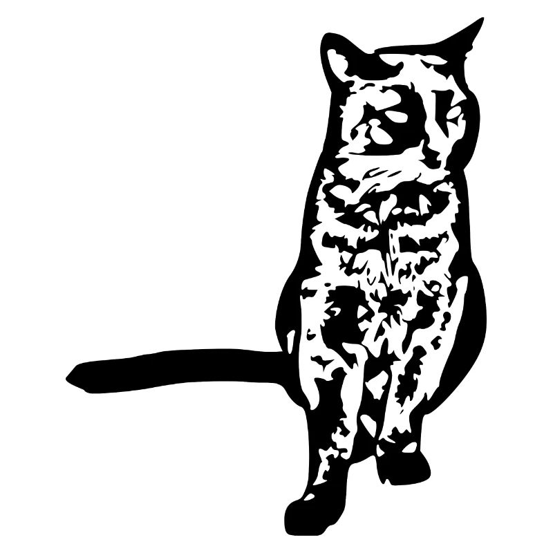 Chat noir Chat Chat Noir Chat Cadeau