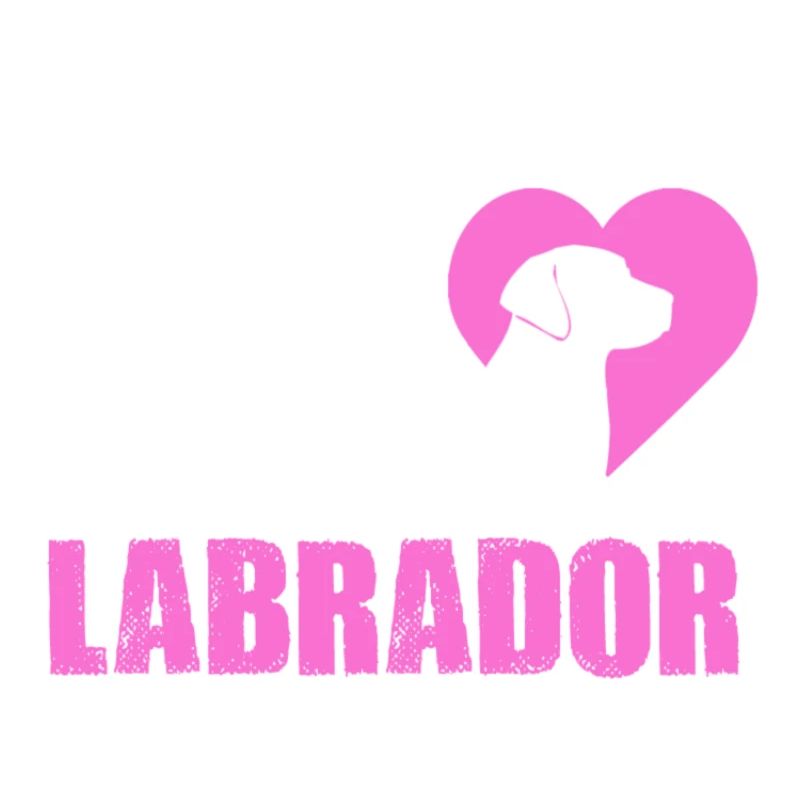 Labrador-Liebe