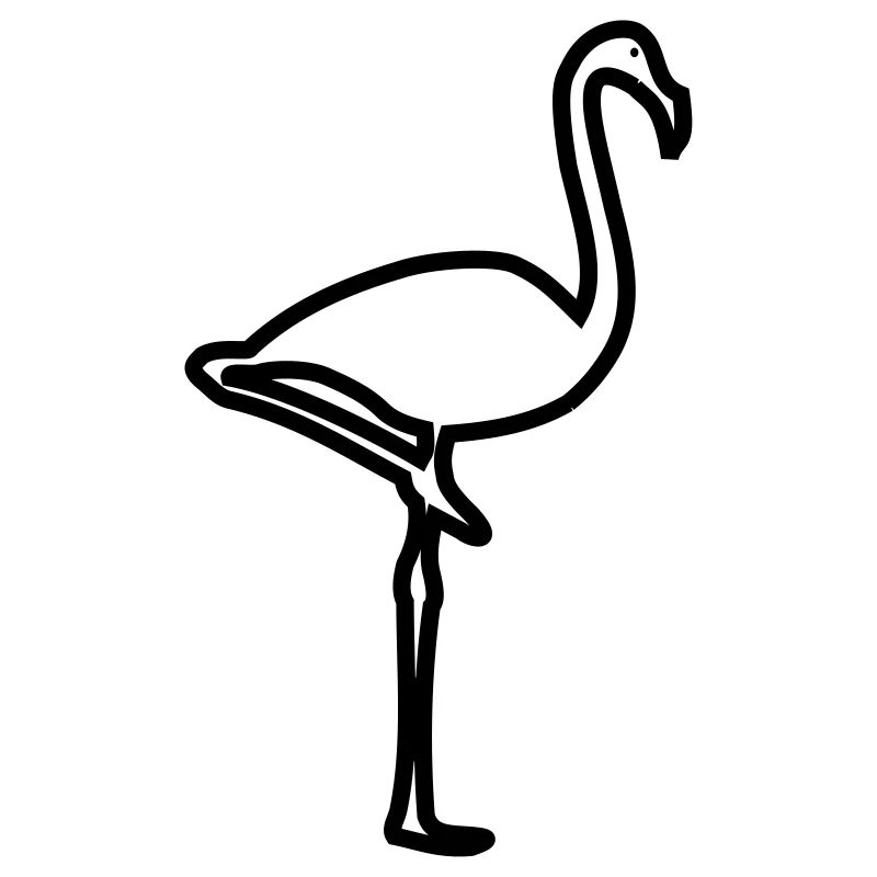 Flamingo