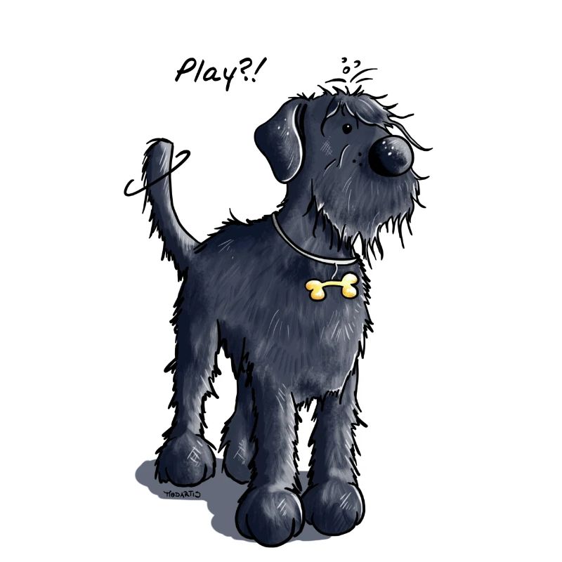 Riesenschnauzer Play - Schnauzer - Schwarz
