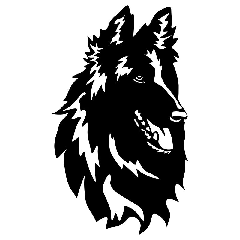 Tête de Groenendael