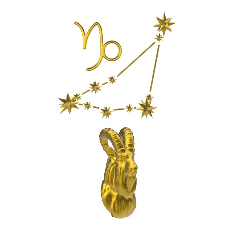 Constellation Capricorne 3D, or
