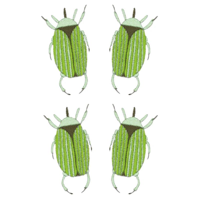 insecte vert