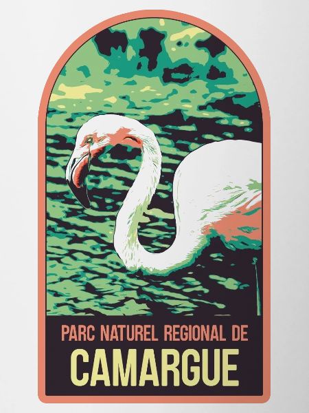 Flamingo Pink Camargue: Enchanted Nature