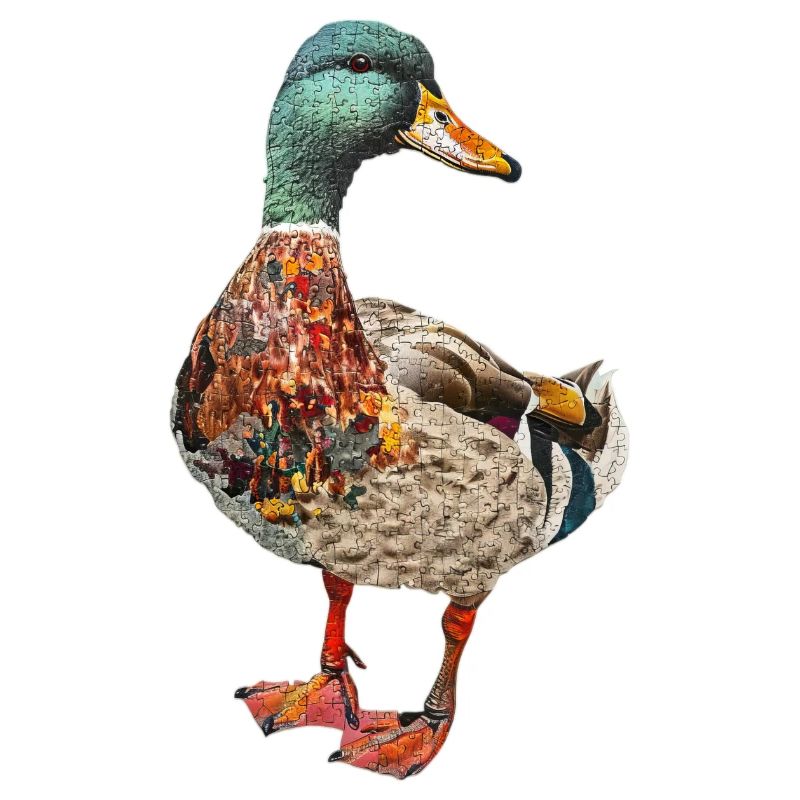 Duck