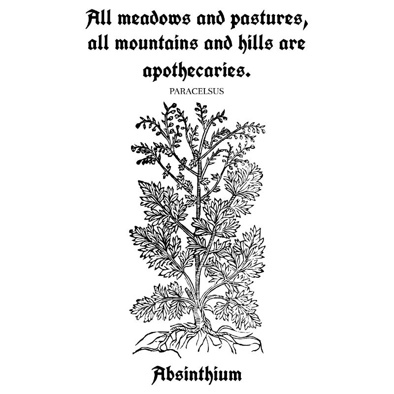 Citation latine de Paracelse – Absinthium Illustration