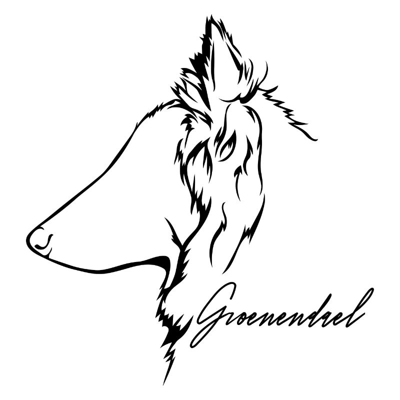 GROENENDAEL Profil Chiens Wilsigns