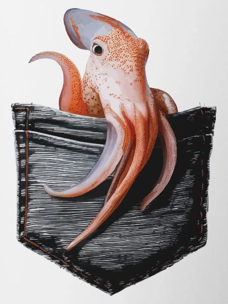 Tintenfisch