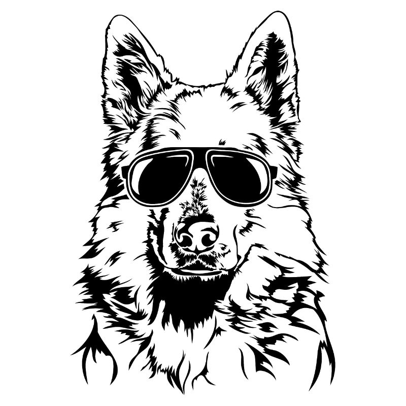 WEISSER SCHWEIZER SCHÄFERHUND cool Wilsigns Hunde