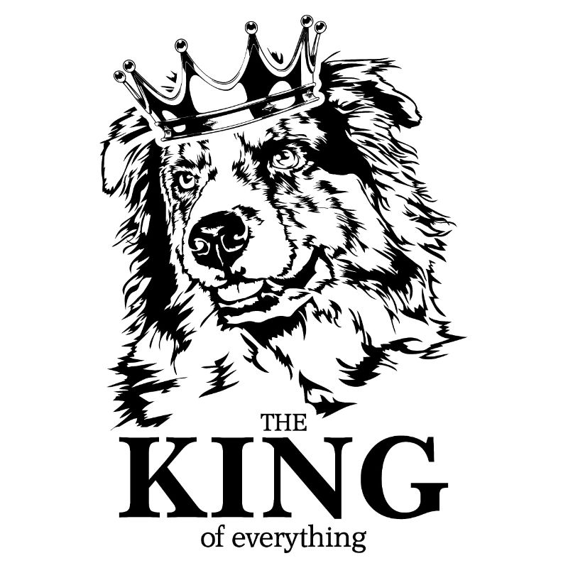 AUSTRALIAN SHEPHERD King of everything Wilsigns