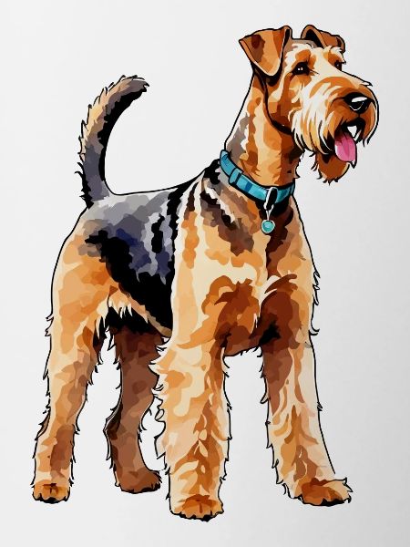 Airedale Terrier Aquarelle