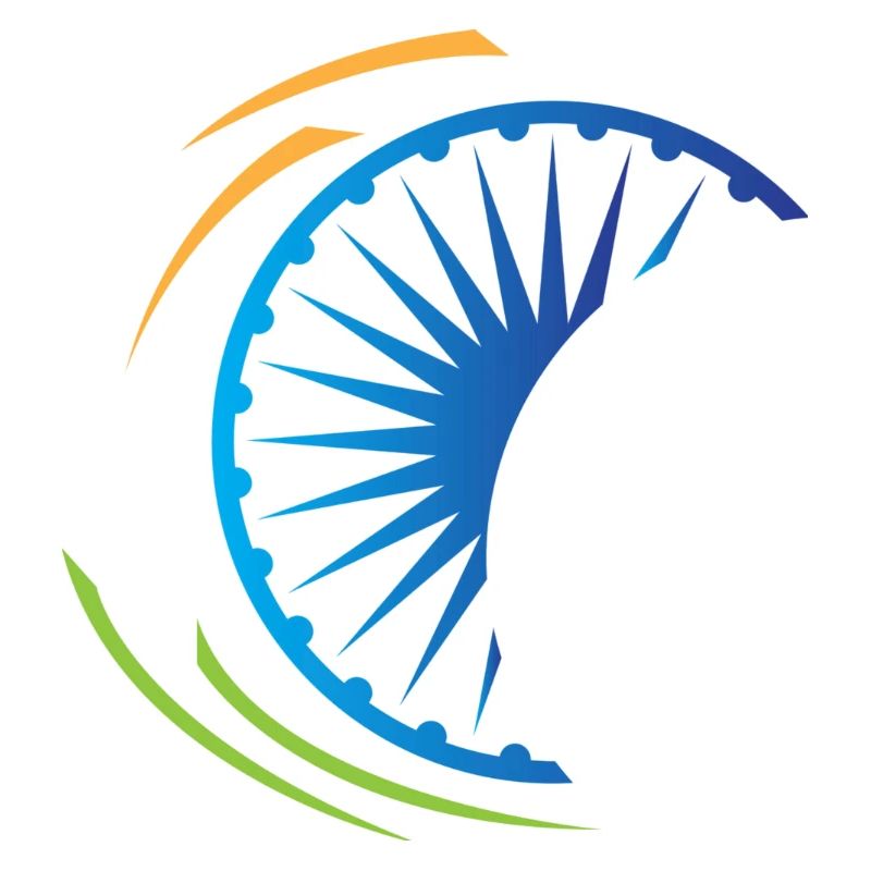 India FLAG Graphics